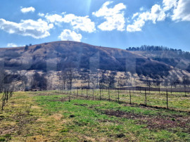 Teren intravilan, 600mp, front 6m, utilitati in zona, Luna