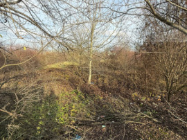 ???? Blitz oferă spre închiriere – Teren 6.500 mp, Calea