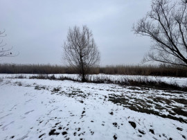 Teren 887 mp cu ieșire la Lacul Snagov | Proprietate rară