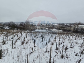 Teren intravilan 7000 mp Simnic, Izvor