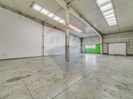 Spațiu industrial Parc Uta 1 - 227 mp utili