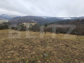 Teren 7.513 mp, cu priveliște panoramică, Dăroaia, comuna