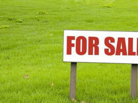 Teren intravilan , Marginea , 4500 mp