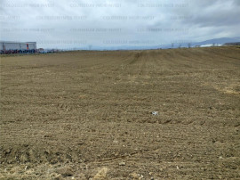 Oportunitate! Teren Industrial - Zona Darste