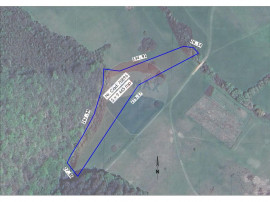 Teren intravilan, 9465 mp, Betfia, l&acirc;ngă pădure, de v?...