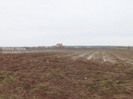 Teren 4000 mp l&acirc;ngă Pădurea Petrești | Investiție dezvo