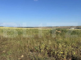 Teren intravilan, suprafata 11500 mp, zona Marghita