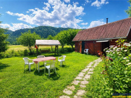 FILM Tur LIVE! Casa de vacanta, intr- o ariere admirabila,Lu