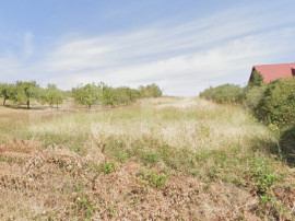 TEREN INTRAVILAN CONSTRUCTII COCOSETI/PAULESTI