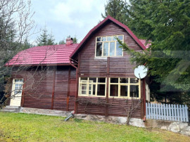 VAND CASA DE VACANTA LA COLIBITA, CU VEDERE SPRE LAC