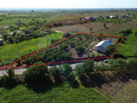 Casa cu 3094mp livada Cotesti