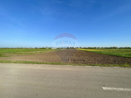 Teren Intravilan 6.220 mp | Strejnicu, Strada Livezilor