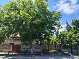 PROPRIETATE MARE &Icirc;N COMUNA LEU, DOLJ, 2023MP TEREN