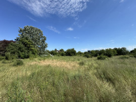 Teren 2936 mp Ordoreanu Ilfov | Langa Padure | Utilitati