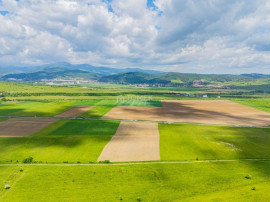 Teren de investiție &icirc;n zona Tohanul Nou - Bran 5.800 mp