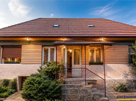 FILM!Doua case traditionale,pe domeniu cu peste 5.000mp tere