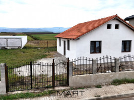 Casa 1 nivel 75mp Cartier Tineretului Sura Mica