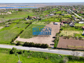 Teren intravilan SOMOVA, zonă deosebită, 5548MP