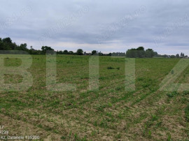 Teren intravilan/extravilan, 1 hectar, zona Gura Foii