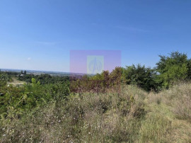 Teren intravilan 4.029 mp de vanzare, zona Crama Seciu