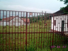 Hale s. totală 20154m², suprafaţă construită 3000 m² Aldesti