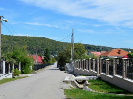 Bascov-Valea Ursului Han-teren 3109 mp parcelat in 5 loturi