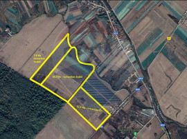 Teren 27 Ha - Brezoaele - 30 Km Bucuresti - 0% Comision