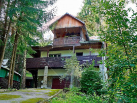 Casa Voronet 1235 mp de vânzare traditional din lemn - T...