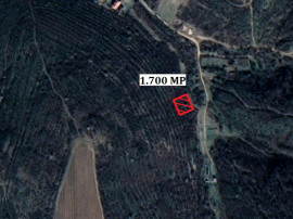 Teren 1700 mp in Minis - ID : RH-33442-property