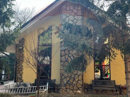 Proprietate specială- spatiu comercial, vila, teren Marg...