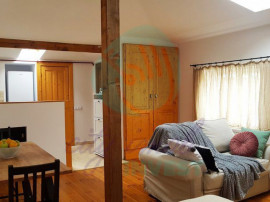 Apartament cozy la mansarda unei vile