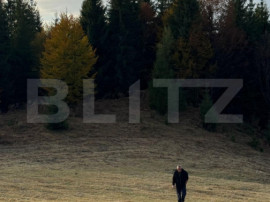 Teren Intravilan, 1000 mp, zona Castelul Dracula - Tihuta