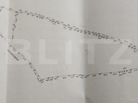 Teren 10000 mp, Dorna Arini