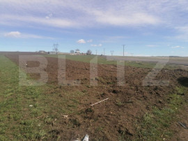 Oportunitate! Teren intravilan, 7000mp, zona Bosanci