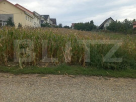 Teren intravilan, 2000 mp, zona Ipotesti