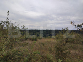 Teren 6291 mp, extravilan, zona Leamna de jos