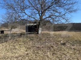 Livadă de nuci &ndash; 2 ha | Acces DN17 | Investiție profitab