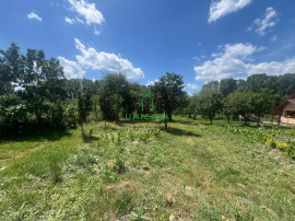 Teren Fedelesoiu/3200 mp/Intravilan