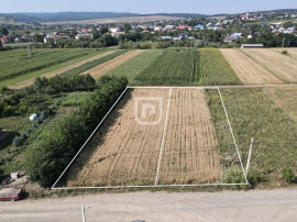 Parcele 1000mp INTRAVILAN | Ilisesti | Bucovina