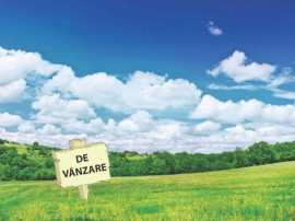 V&acirc;nzare teren intravilan &ndash; 9.500 mp, DN26 -Padurea Gar...