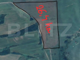Tern extravilan 26,3974 ha, Ardud