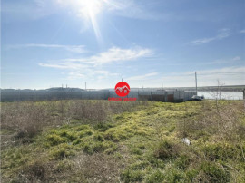 Teren Intravilan 500 mp cu Deschidere 25 ml, Corbu