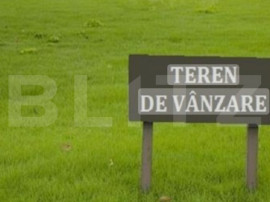 Teren extravilan de vanzare, , 5000 mp, zona Salatruc