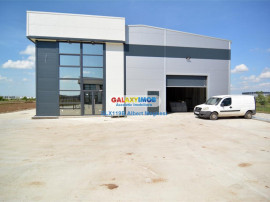 Hala 590 mp Chitila Rudeni- centura