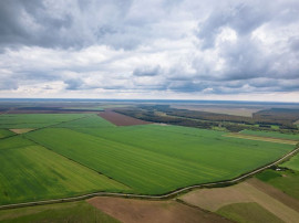 Teren arabil de 2688 hectare &icirc;n Brăila
