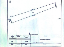 Teren extravilan, 1 ha, zona Centura de Nord, Simnicu de Sus