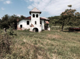 Conac boieresc + teren de 53.000 mp cu vita de vie
