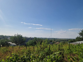 NUFARU- TEREN INTRAVILAN , 1100 MP