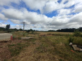 Teren extravilan, 6500mp, Cristian