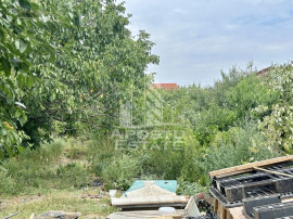 Teren 1084 mp in Dumbravita, vatra satului